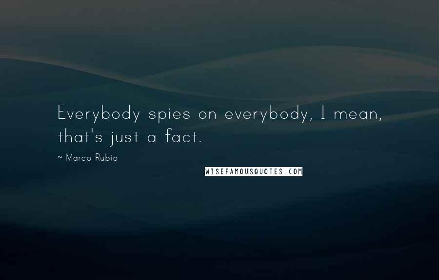 Marco Rubio Quotes: Everybody spies on everybody, I mean, that's just a fact.