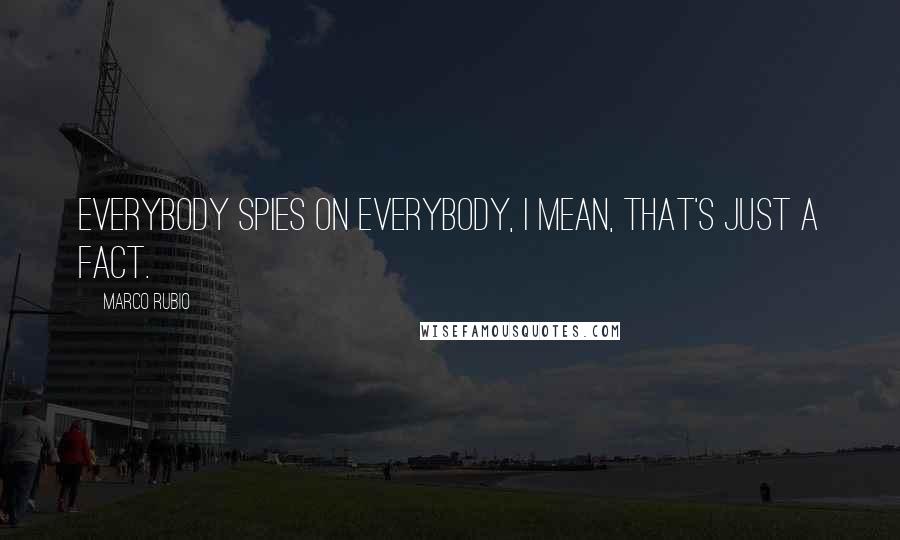 Marco Rubio Quotes: Everybody spies on everybody, I mean, that's just a fact.