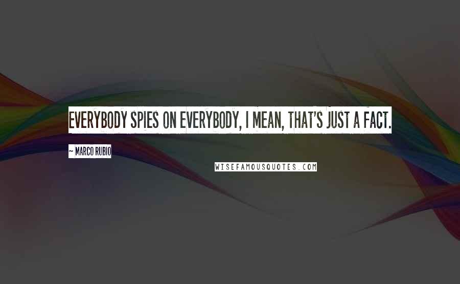 Marco Rubio Quotes: Everybody spies on everybody, I mean, that's just a fact.