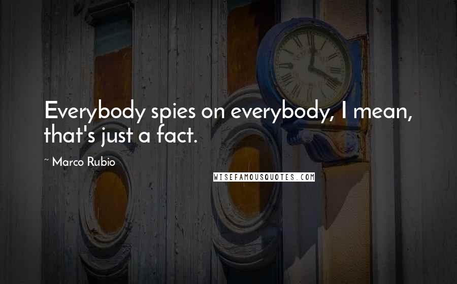 Marco Rubio Quotes: Everybody spies on everybody, I mean, that's just a fact.