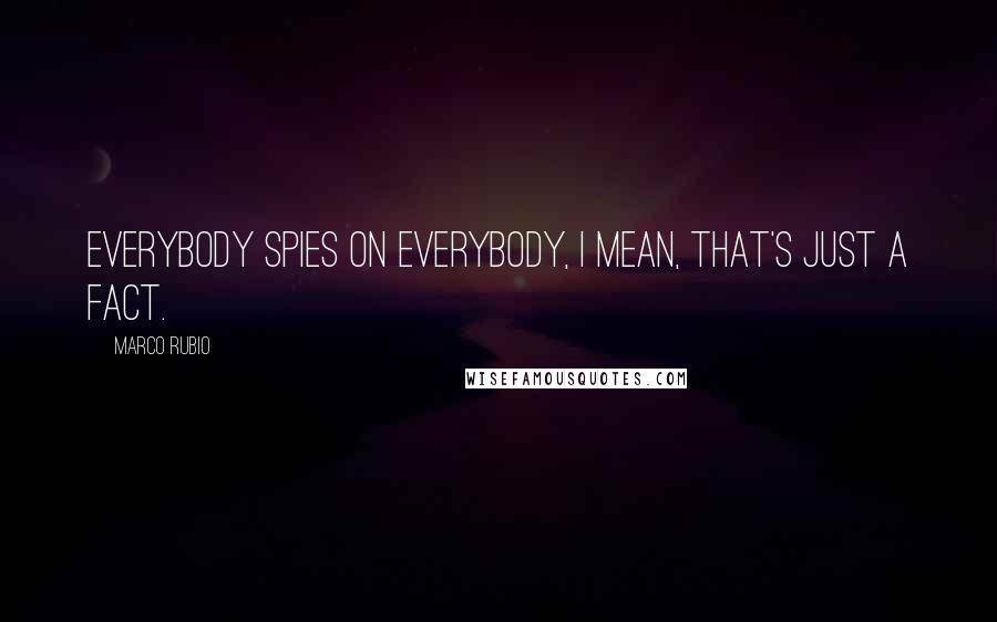 Marco Rubio Quotes: Everybody spies on everybody, I mean, that's just a fact.
