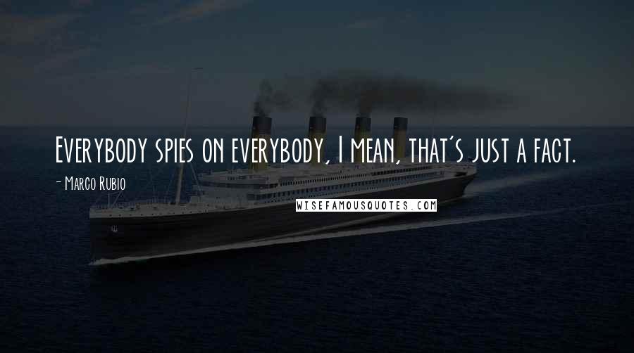 Marco Rubio Quotes: Everybody spies on everybody, I mean, that's just a fact.
