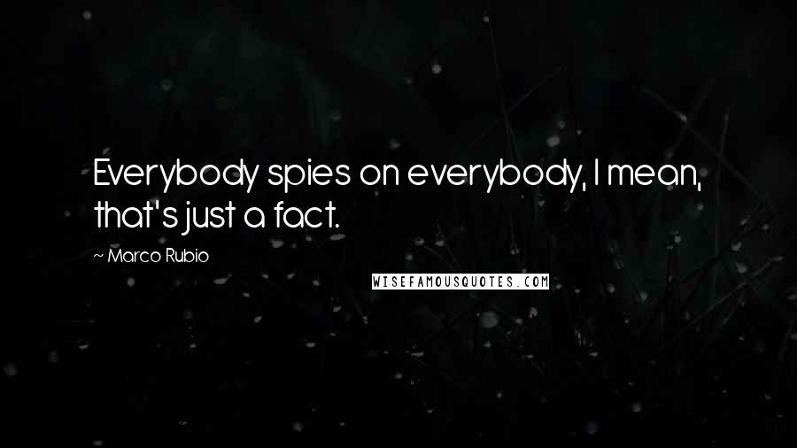 Marco Rubio Quotes: Everybody spies on everybody, I mean, that's just a fact.