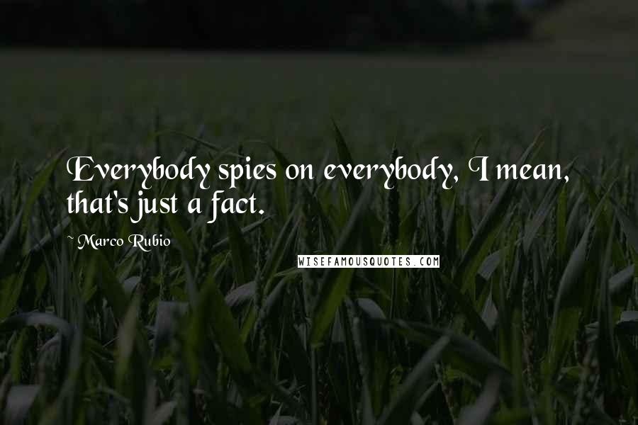 Marco Rubio Quotes: Everybody spies on everybody, I mean, that's just a fact.
