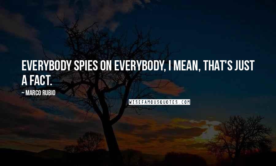 Marco Rubio Quotes: Everybody spies on everybody, I mean, that's just a fact.