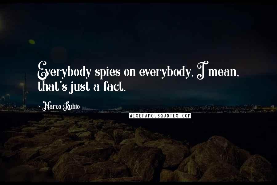 Marco Rubio Quotes: Everybody spies on everybody, I mean, that's just a fact.