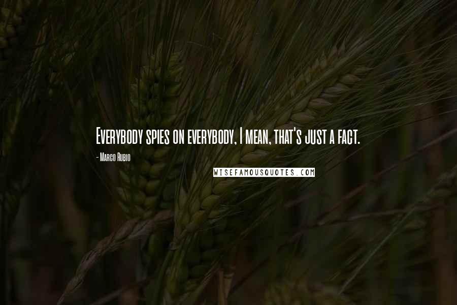 Marco Rubio Quotes: Everybody spies on everybody, I mean, that's just a fact.