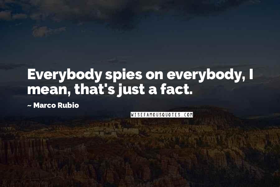 Marco Rubio Quotes: Everybody spies on everybody, I mean, that's just a fact.