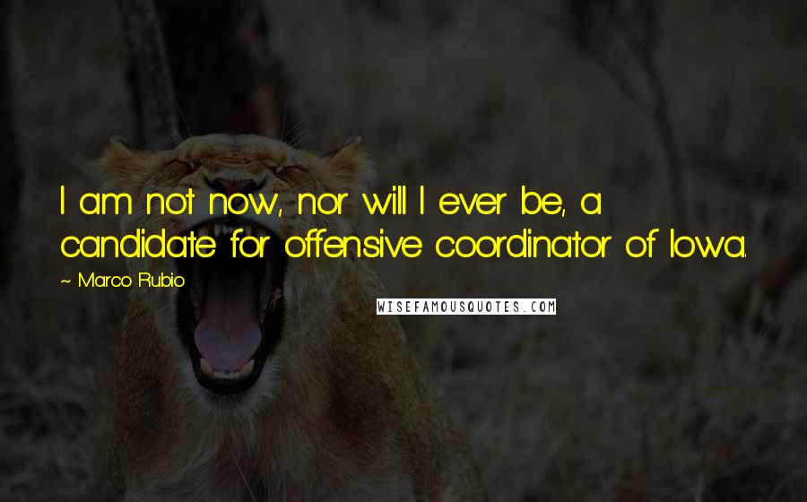 Marco Rubio Quotes: I am not now, nor will I ever be, a candidate for offensive coordinator of Iowa.