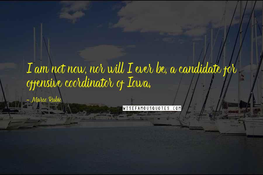 Marco Rubio Quotes: I am not now, nor will I ever be, a candidate for offensive coordinator of Iowa.