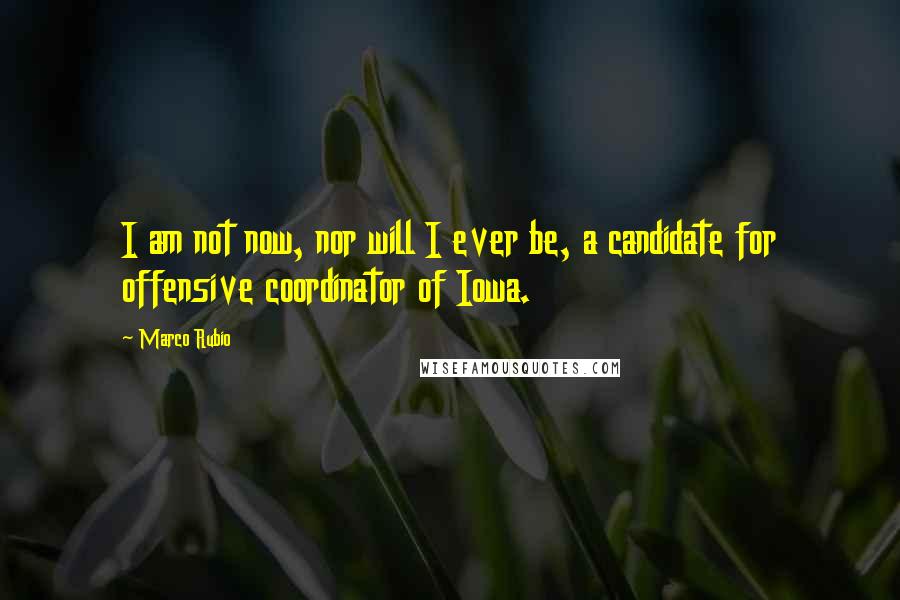 Marco Rubio Quotes: I am not now, nor will I ever be, a candidate for offensive coordinator of Iowa.