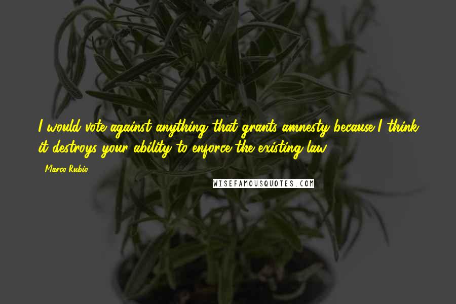 Marco Rubio Quotes: I would vote against anything that grants amnesty because I think it destroys your ability to enforce the existing law