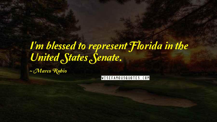 Marco Rubio Quotes: I'm blessed to represent Florida in the United States Senate.