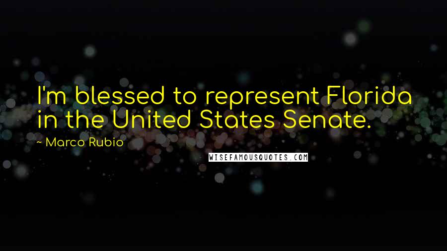 Marco Rubio Quotes: I'm blessed to represent Florida in the United States Senate.