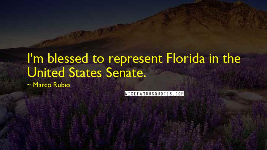 Marco Rubio Quotes: I'm blessed to represent Florida in the United States Senate.