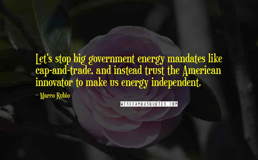 Marco Rubio Quotes: Let's stop big government energy mandates like cap-and-trade, and instead trust the American innovator to make us energy independent.