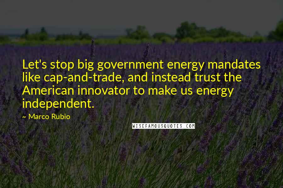 Marco Rubio Quotes: Let's stop big government energy mandates like cap-and-trade, and instead trust the American innovator to make us energy independent.