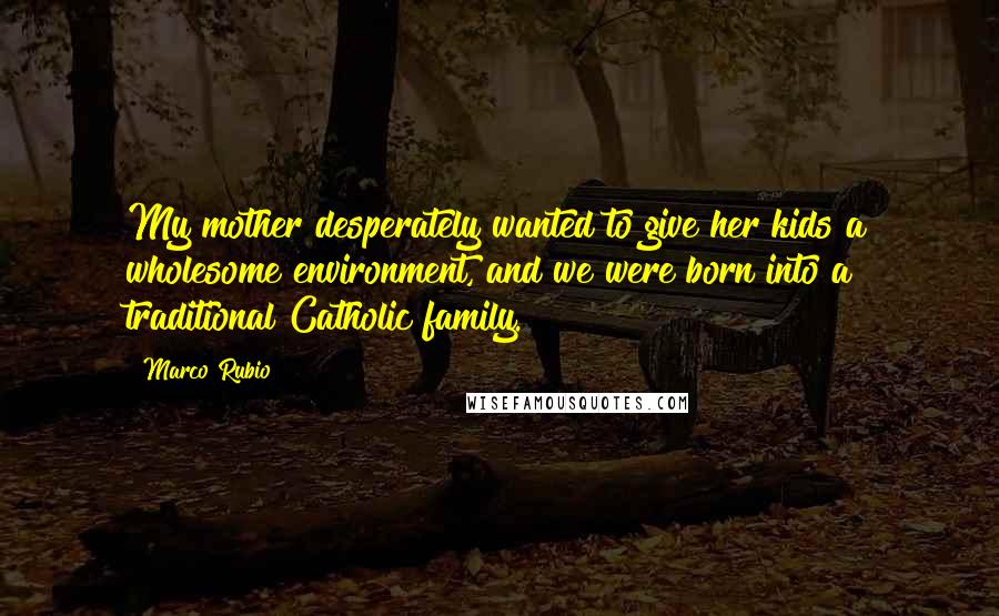 Marco Rubio Quotes: My mother desperately wanted to give her kids a wholesome environment, and we were born into a traditional Catholic family.