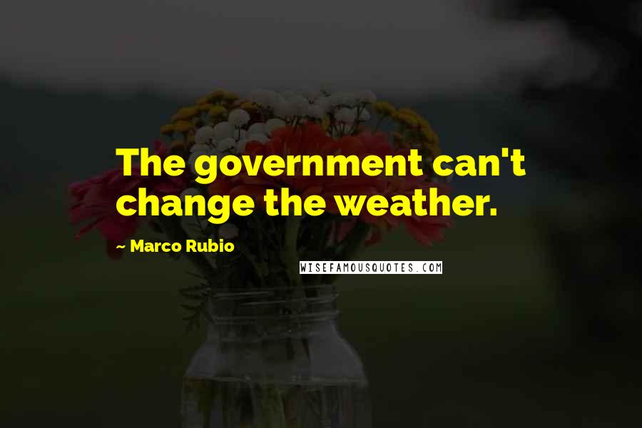Marco Rubio Quotes: The government can't change the weather.
