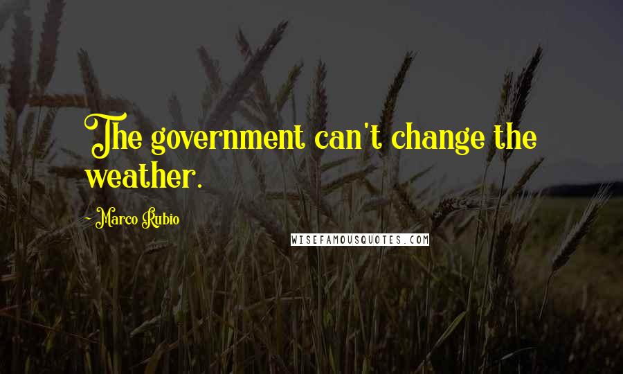 Marco Rubio Quotes: The government can't change the weather.