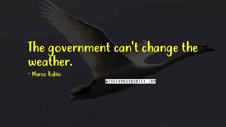 Marco Rubio Quotes: The government can't change the weather.