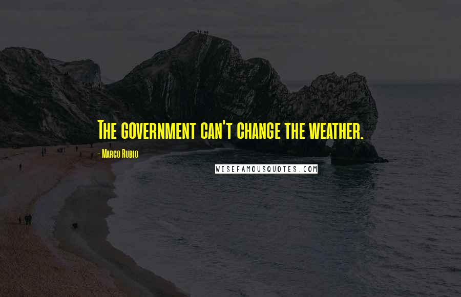 Marco Rubio Quotes: The government can't change the weather.