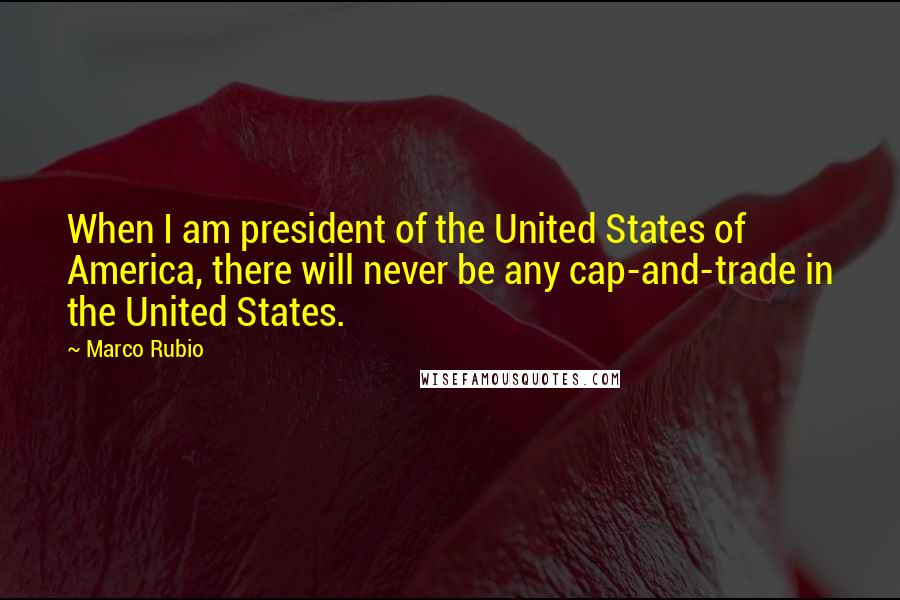 Marco Rubio Quotes: When I am president of the United States of America, there will never be any cap-and-trade in the United States.