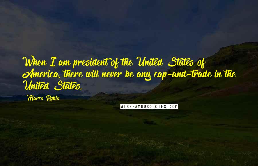 Marco Rubio Quotes: When I am president of the United States of America, there will never be any cap-and-trade in the United States.