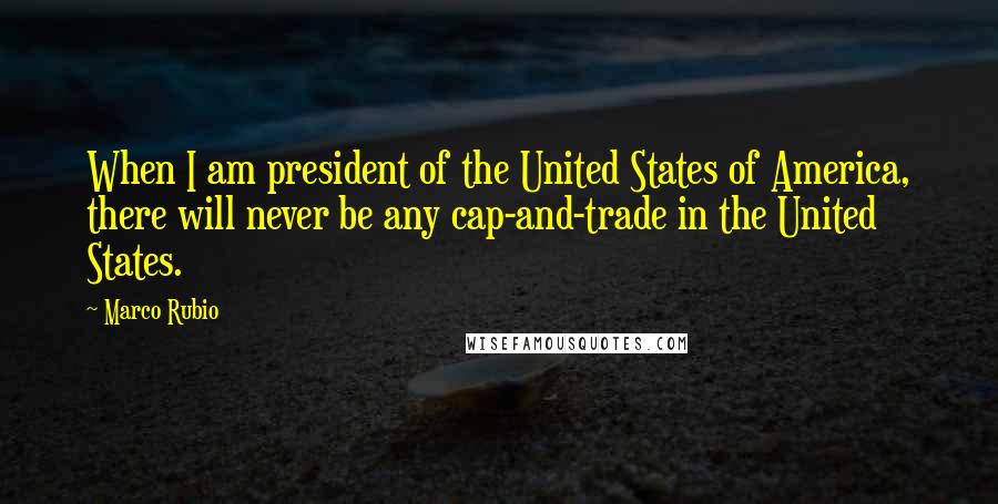 Marco Rubio Quotes: When I am president of the United States of America, there will never be any cap-and-trade in the United States.