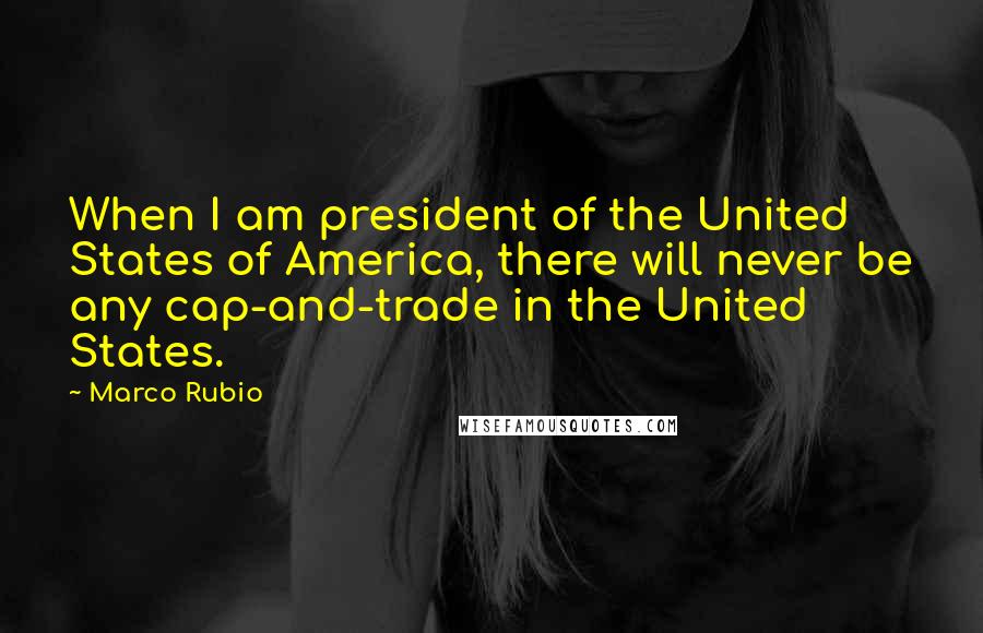 Marco Rubio Quotes: When I am president of the United States of America, there will never be any cap-and-trade in the United States.