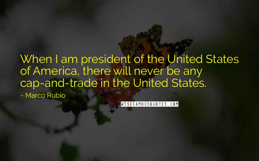 Marco Rubio Quotes: When I am president of the United States of America, there will never be any cap-and-trade in the United States.