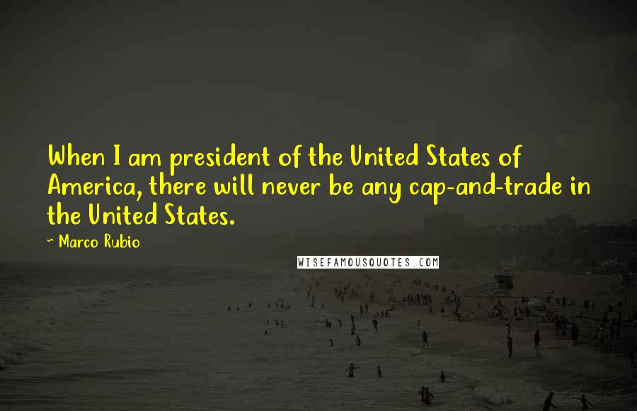 Marco Rubio Quotes: When I am president of the United States of America, there will never be any cap-and-trade in the United States.