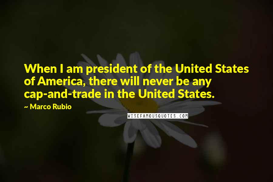 Marco Rubio Quotes: When I am president of the United States of America, there will never be any cap-and-trade in the United States.