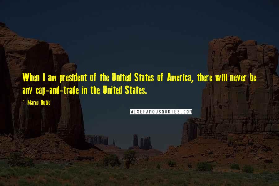 Marco Rubio Quotes: When I am president of the United States of America, there will never be any cap-and-trade in the United States.