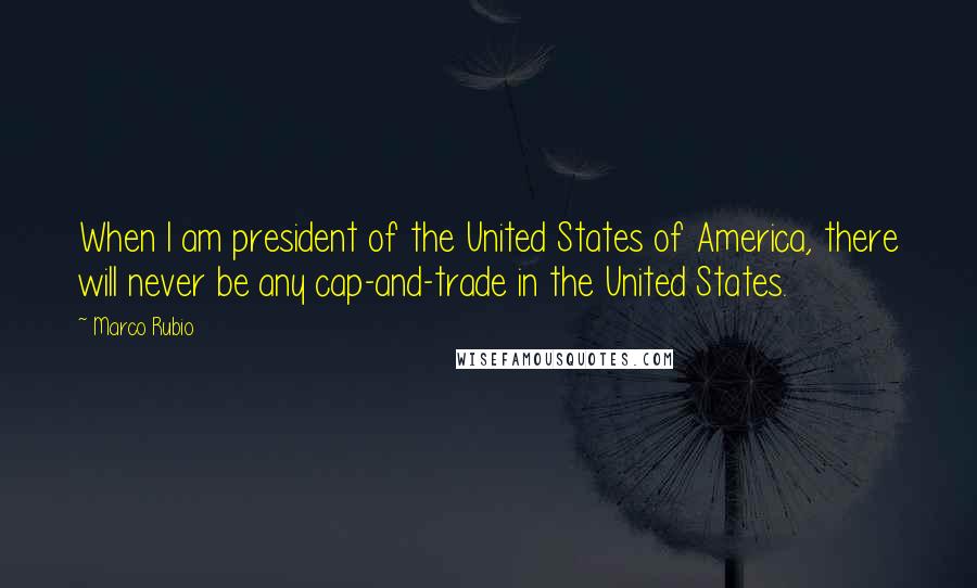 Marco Rubio Quotes: When I am president of the United States of America, there will never be any cap-and-trade in the United States.