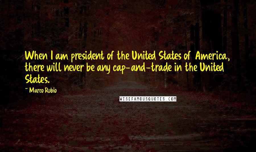 Marco Rubio Quotes: When I am president of the United States of America, there will never be any cap-and-trade in the United States.