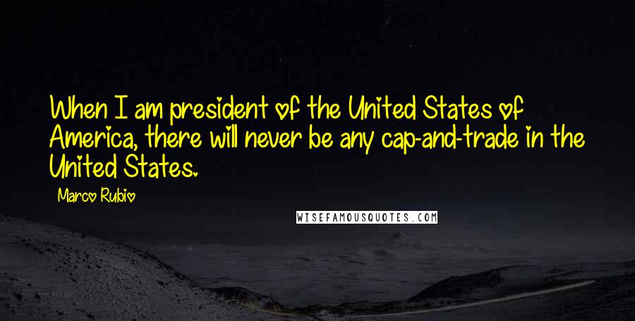 Marco Rubio Quotes: When I am president of the United States of America, there will never be any cap-and-trade in the United States.