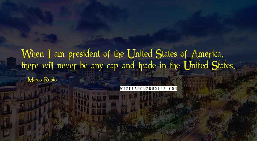 Marco Rubio Quotes: When I am president of the United States of America, there will never be any cap-and-trade in the United States.