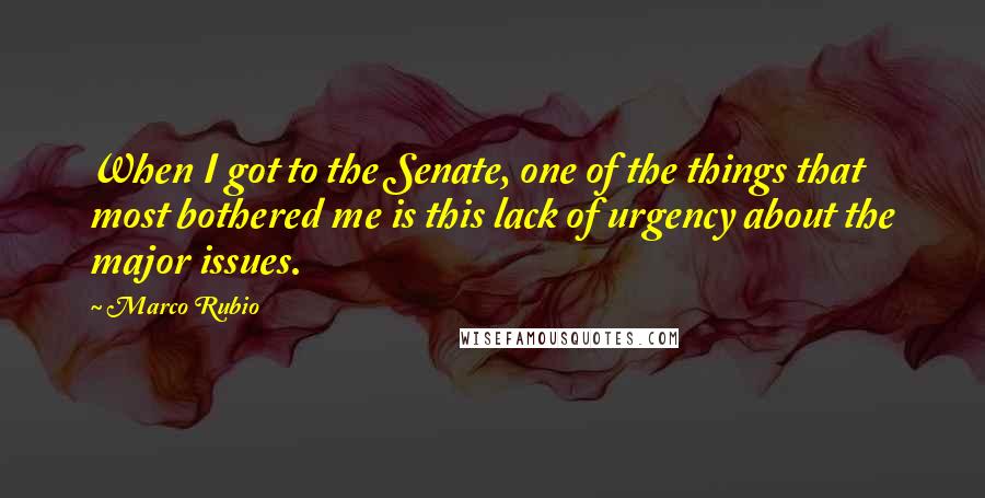 Marco Rubio Quotes: When I got to the Senate, one of the things that most bothered me is this lack of urgency about the major issues.