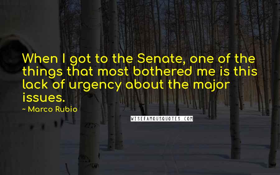 Marco Rubio Quotes: When I got to the Senate, one of the things that most bothered me is this lack of urgency about the major issues.