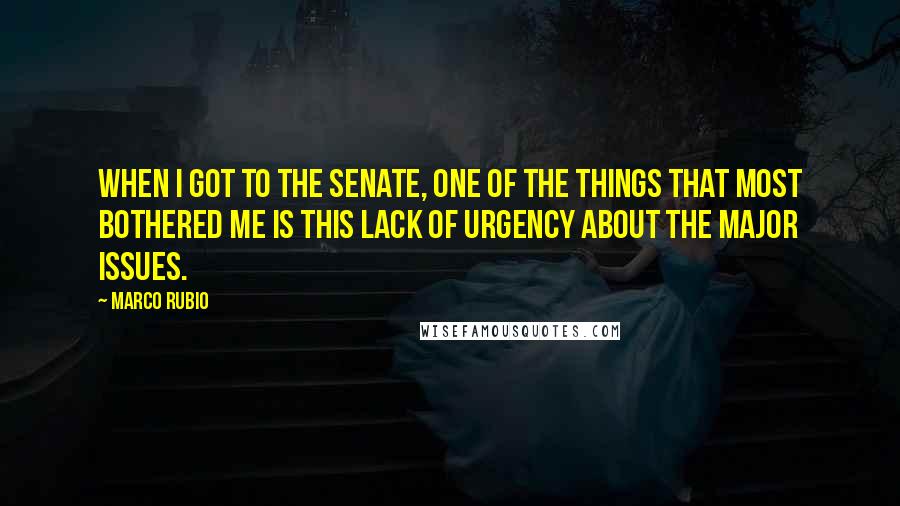 Marco Rubio Quotes: When I got to the Senate, one of the things that most bothered me is this lack of urgency about the major issues.