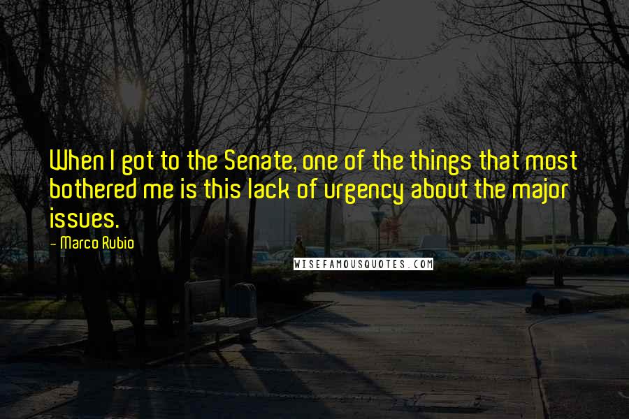 Marco Rubio Quotes: When I got to the Senate, one of the things that most bothered me is this lack of urgency about the major issues.