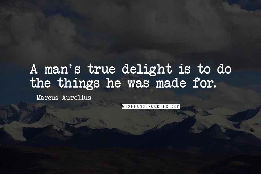 Marcus Aurelius Quotes: A man's true delight is to do the things he was made for.