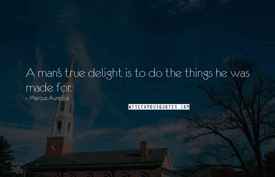 Marcus Aurelius Quotes: A man's true delight is to do the things he was made for.