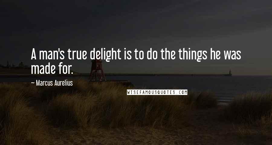 Marcus Aurelius Quotes: A man's true delight is to do the things he was made for.