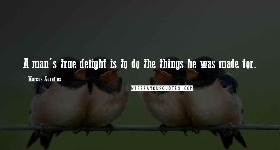 Marcus Aurelius Quotes: A man's true delight is to do the things he was made for.