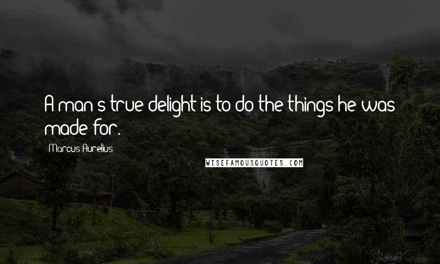 Marcus Aurelius Quotes: A man's true delight is to do the things he was made for.