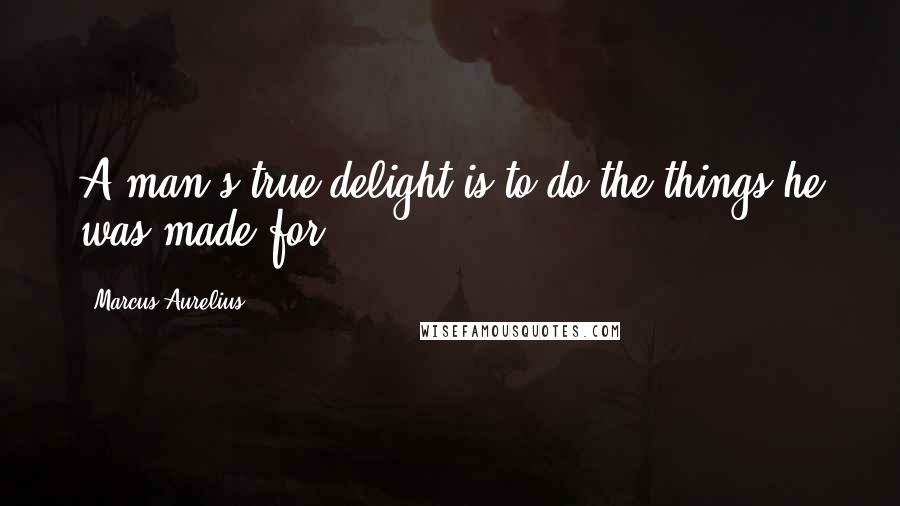 Marcus Aurelius Quotes: A man's true delight is to do the things he was made for.