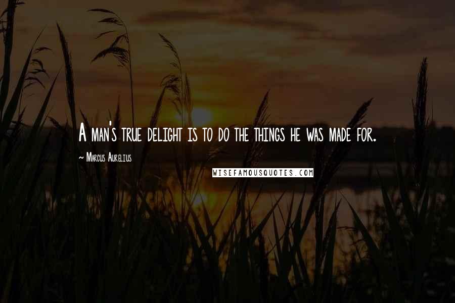 Marcus Aurelius Quotes: A man's true delight is to do the things he was made for.