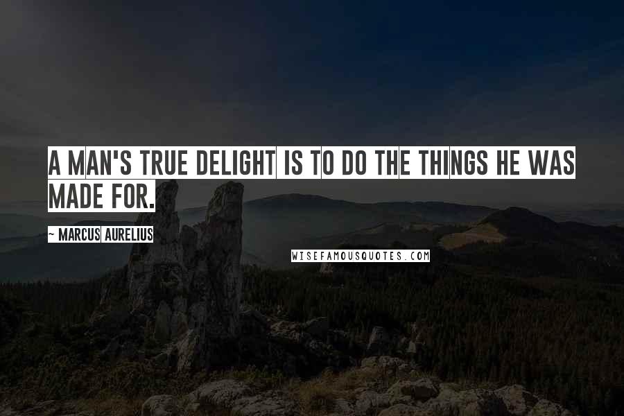 Marcus Aurelius Quotes: A man's true delight is to do the things he was made for.